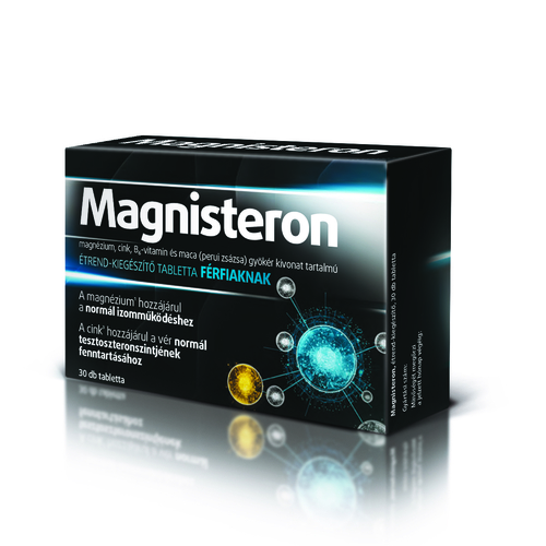 MAGNISTERON Magnézium tabletta férfiaknak 30x